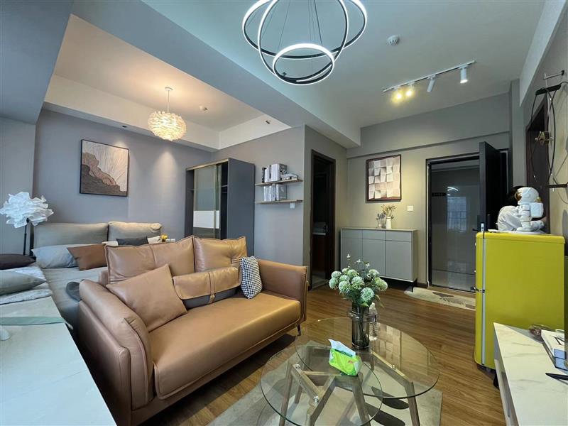 50w标准一室平层公寓，三通类住宅带小区环境，2号线地铁站，配套完善
